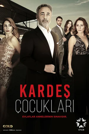 Постер турецкого сериала «Дети сестер»