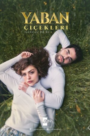 Постер турецкого сериала «Дикие цветы»