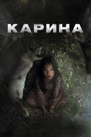 Постер турецкого фильма «Карина»