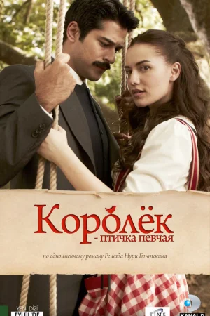 Постер турецкого сериала «Королёк – птичка певчая»