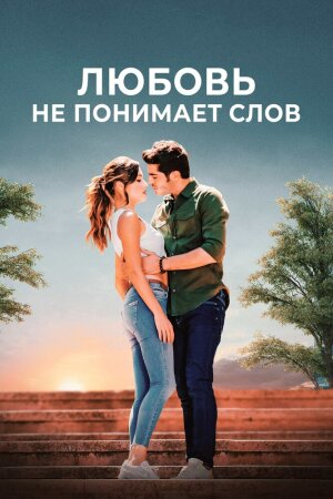 Постер турецкого сериала «Любовь не понимает слов»