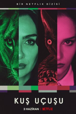 Постер турецкого сериала «Полёт птицы»
