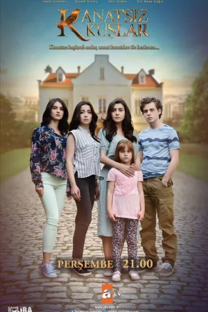 Постер турецкого сериала «Птицы без крыльев»