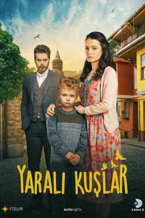 Постер «Раненые птицы»