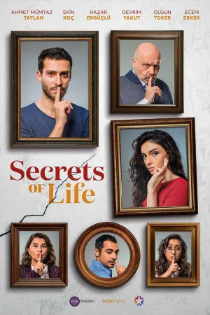 Постер турецкого сериала «Секреты жизни»