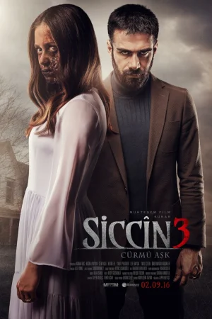 Постер турецкого фильма «Сиджин 3»