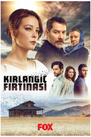 Постер турецкого сериала «Шторм ласточки»