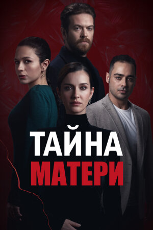 Постер турецкого сериала «Тайна матери»