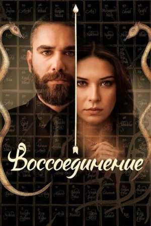 Постер турецкого сериала «Воссоединение»