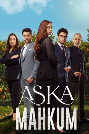 Постер турецкого сериала «Заключенный любви»