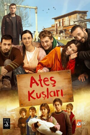 Постер турецкого сериала «Жар-птицы»